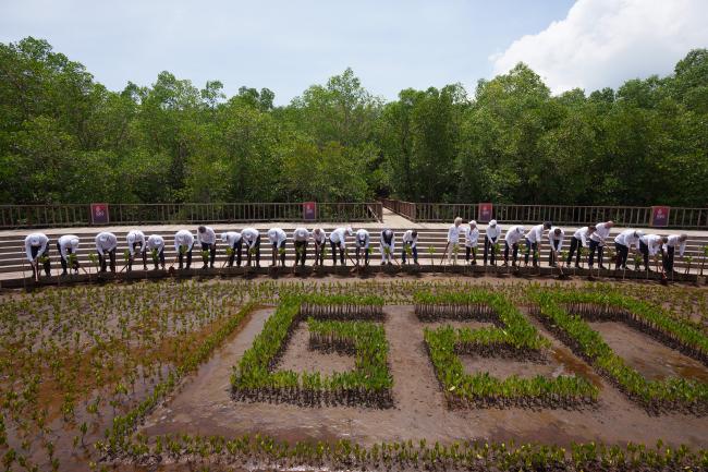 G20 Leaders at the Taman Hutan Raya Ngurah Rai national forest