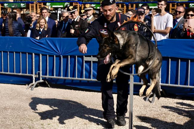 Celebrazioni per il Giorno dell’Unità Nazionale e per la Giornata delle Forze Armate